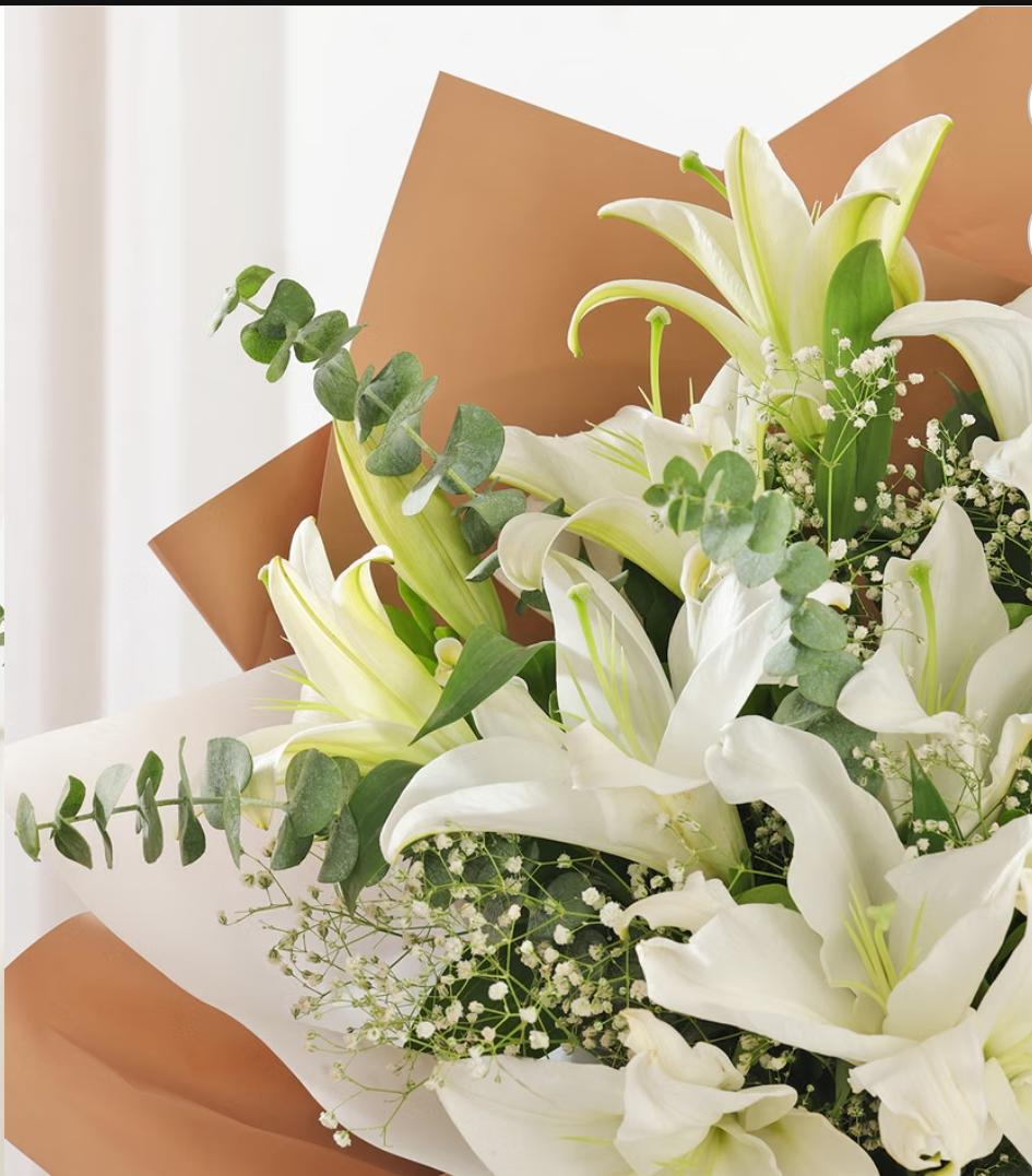 Daisy lily - Image 4